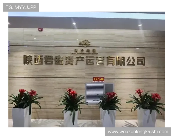 尊龙网址集团官网查询方法详解帮助玩家快速找到官方平台入口